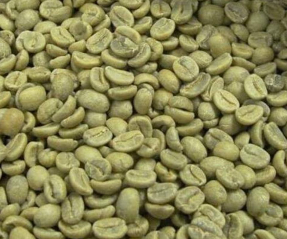 ROBUSTA GREEN COFFEE