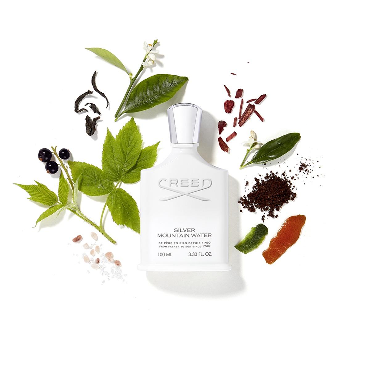 Creed Silver Mountain Water EDP 100ml