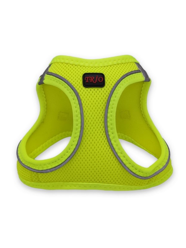 Airmesh  dog collar