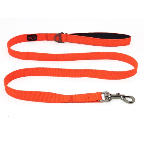 Leash