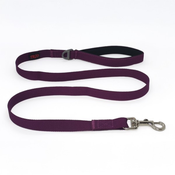 Leash