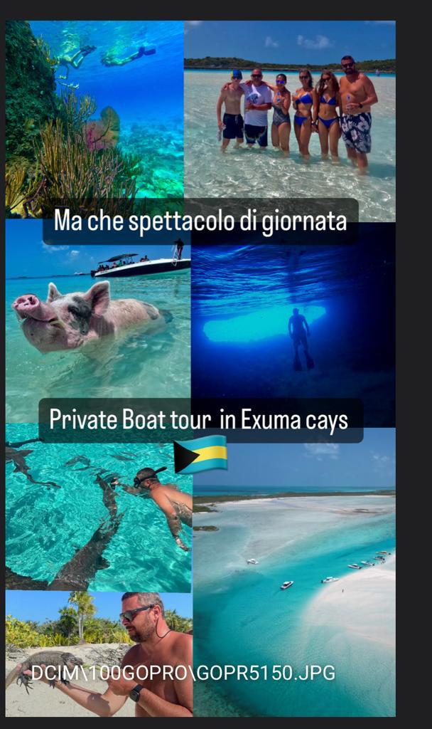 Private Swimming Pigs Excursion in Exuma Bahamas