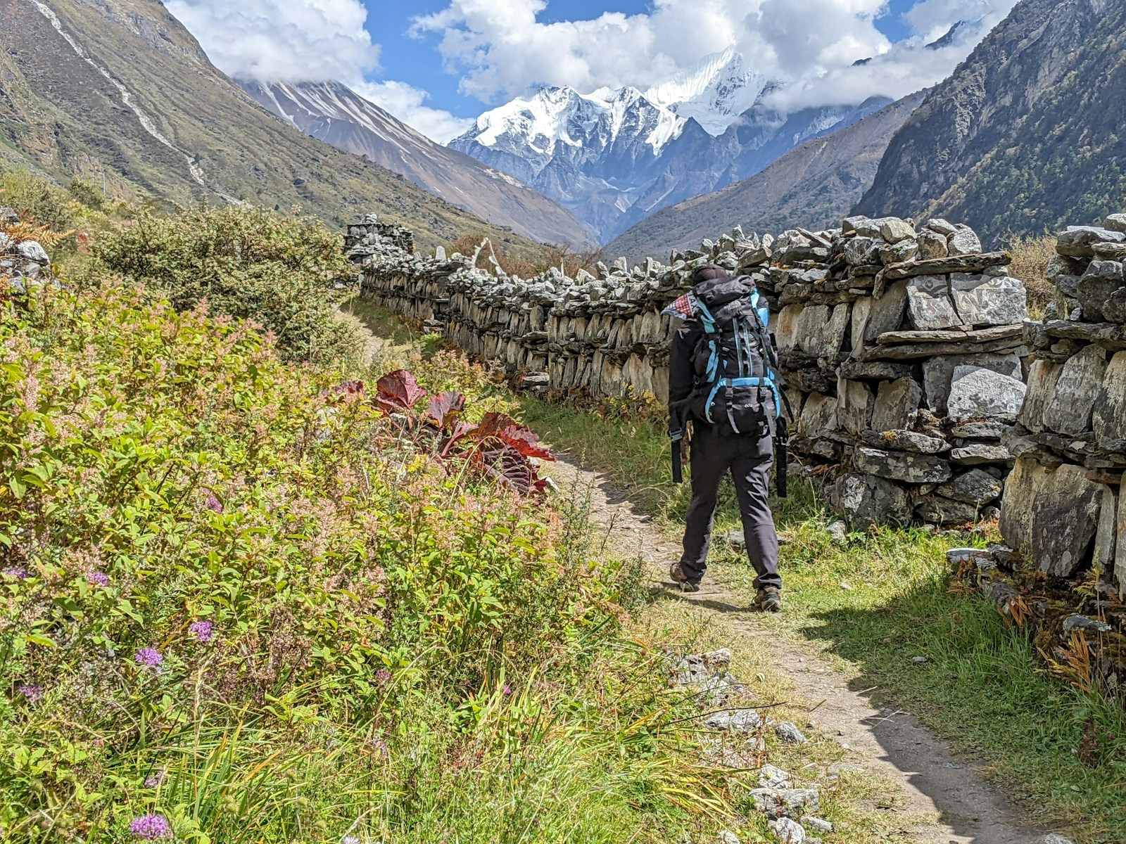 Langtang Trek
