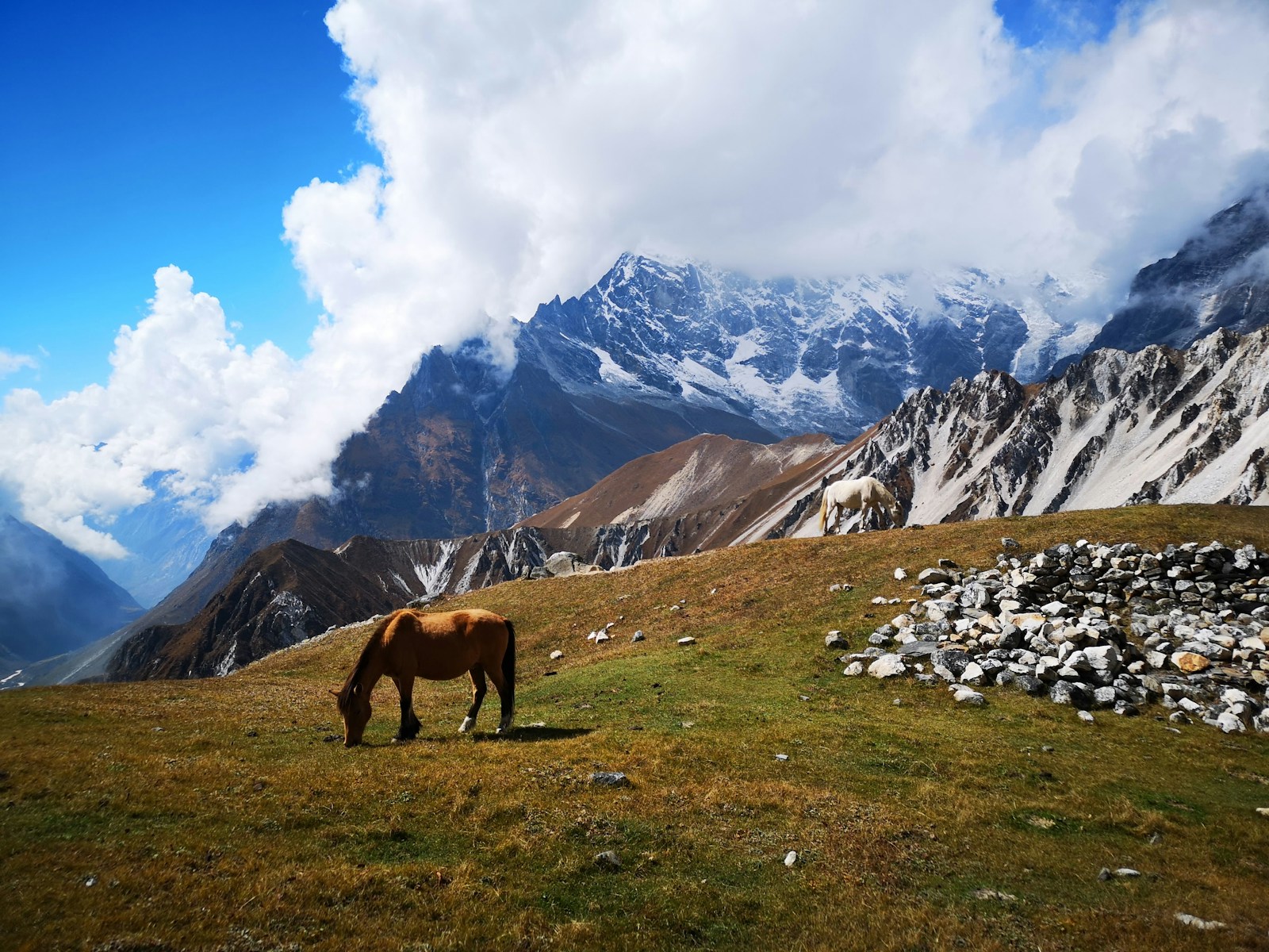 Langtang Trek