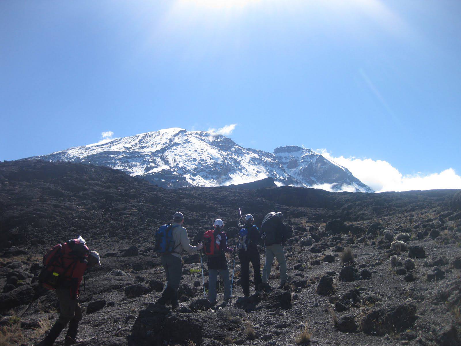 Kilimanjaro Climbing -8 Days Lemosho Route