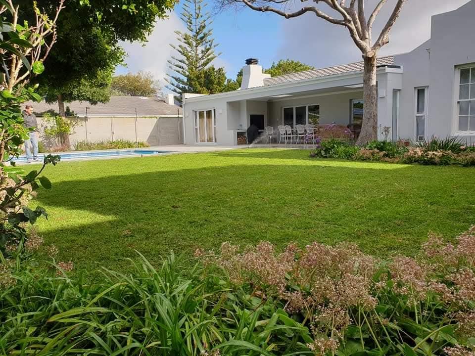 INSTANT ROLL ON LAWN