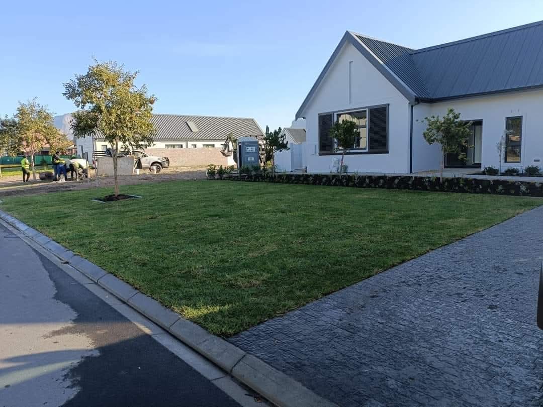 INSTANT ROLL ON LAWN