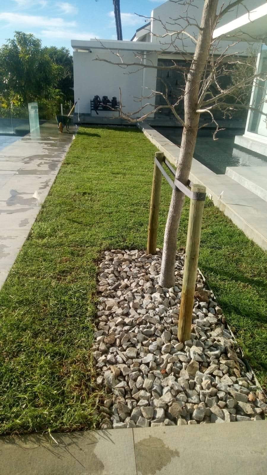 INSTANT ROLL ON LAWN