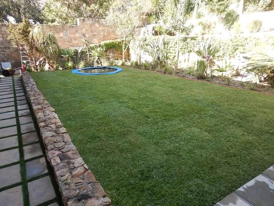 INSTANT ROLL ON LAWN