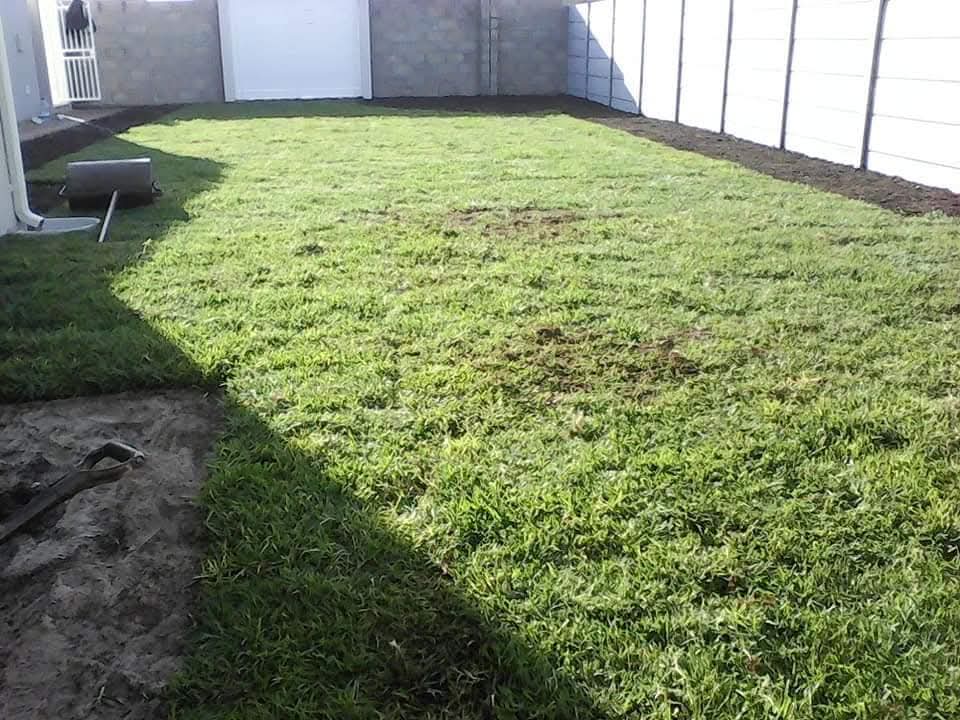 INSTANT ROLL ON LAWN