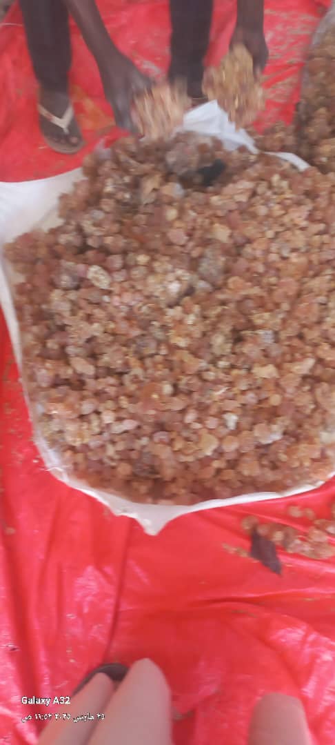 صمغ عربى