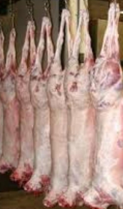لحوم سواكنى مبرده