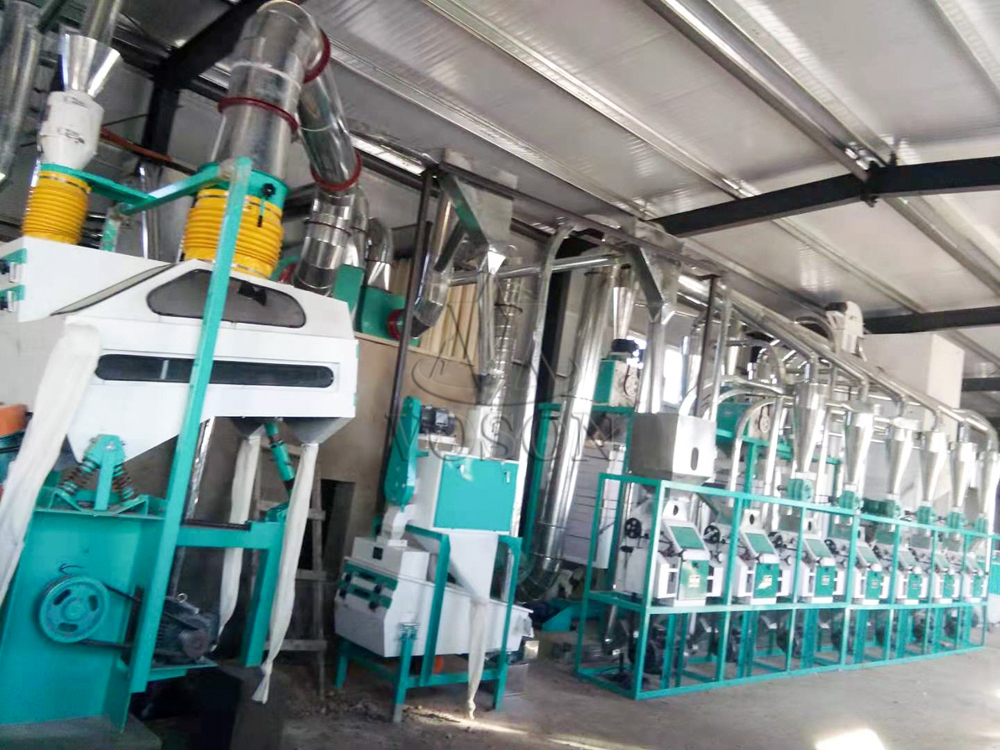 Wheat Flour Mill Equipment – Customized Solutions from 20TPD to 300TPD