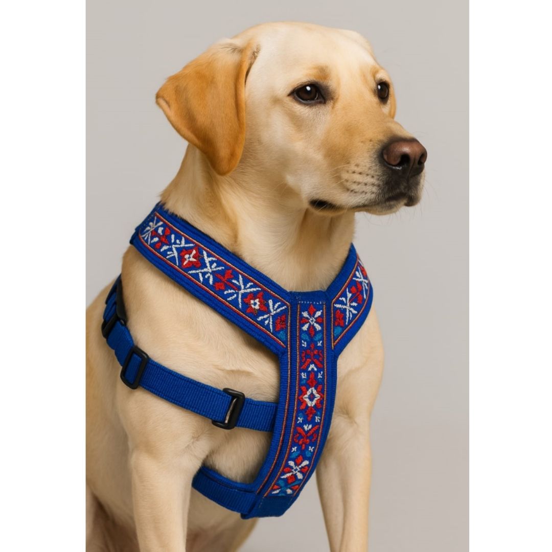 Harness-0004