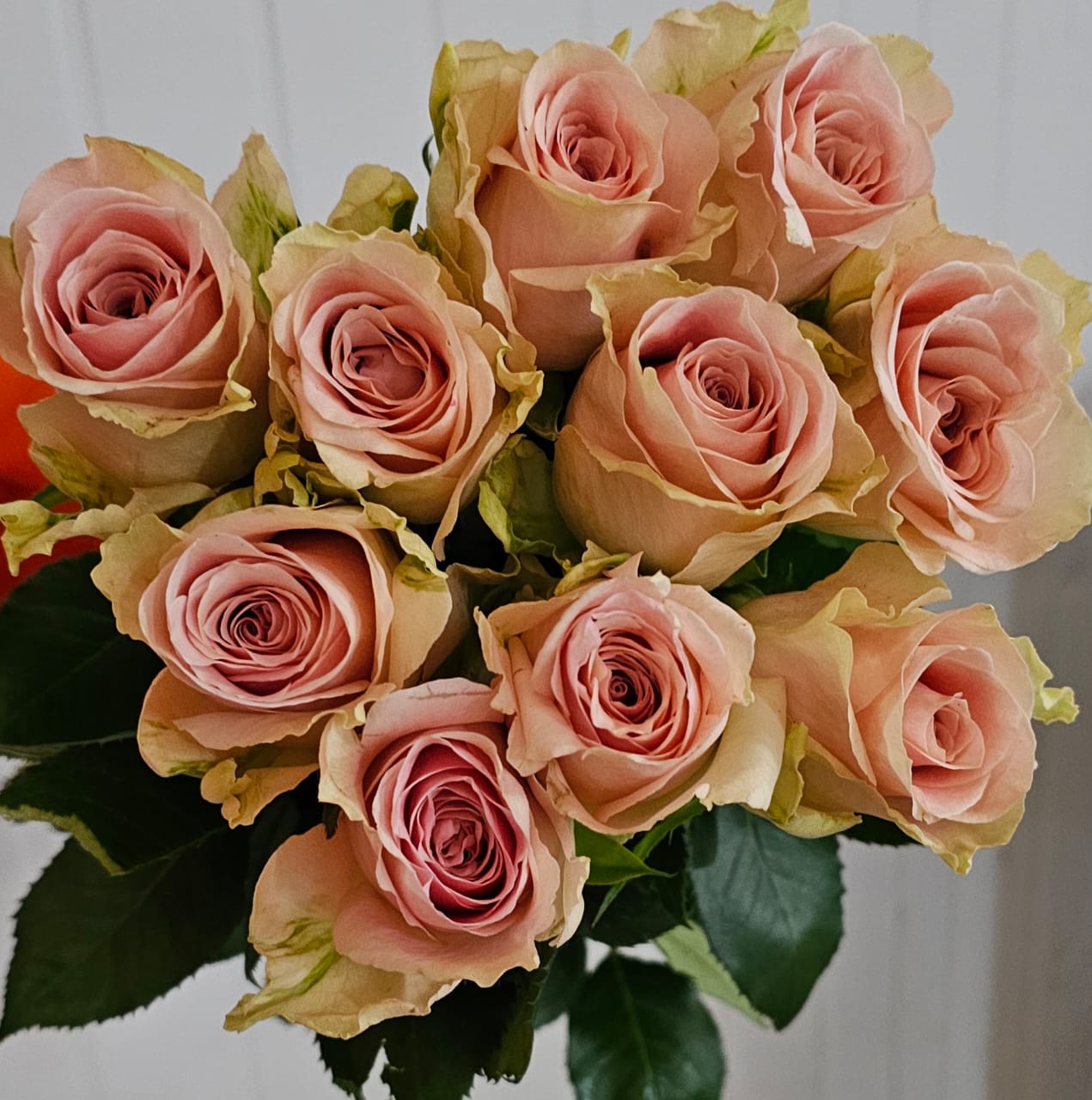 Fresh cut Roses
