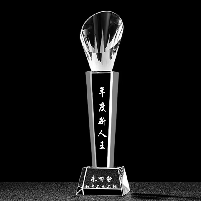 Crystal Award for Newcomer of the Year