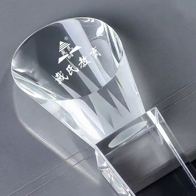 Crystal Award for Newcomer of the Year