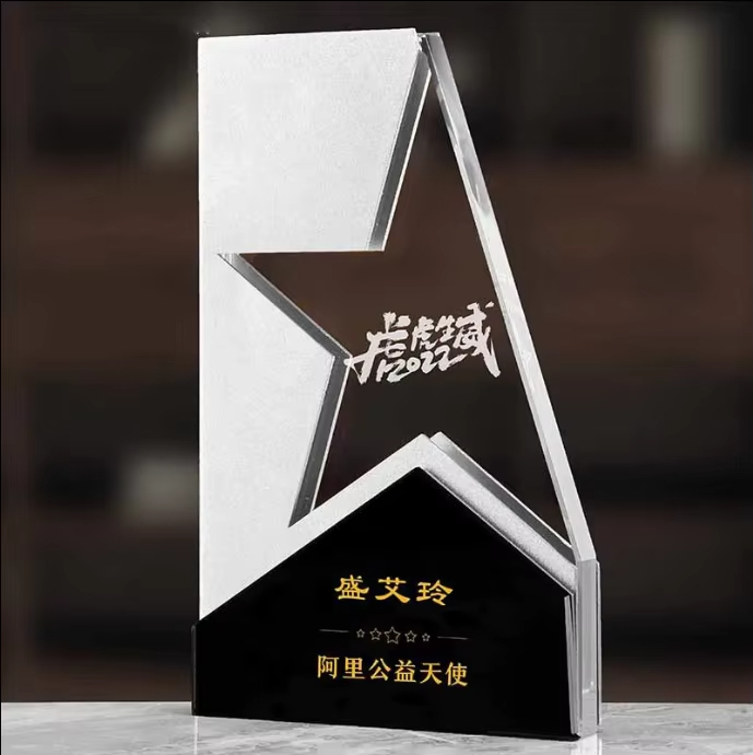 Metal Star Trophy Plaque Custom