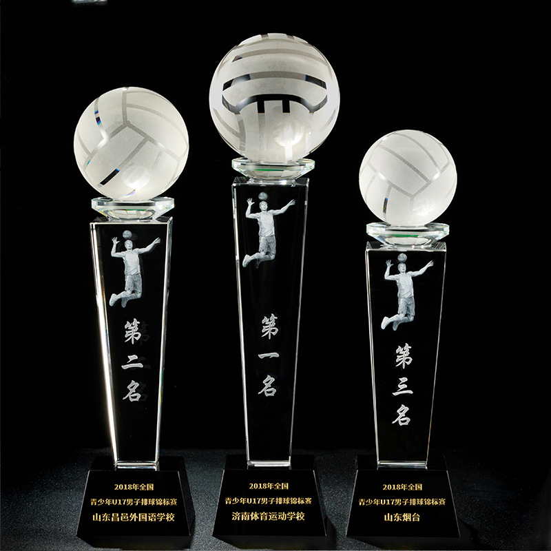 Volleyball Trophy