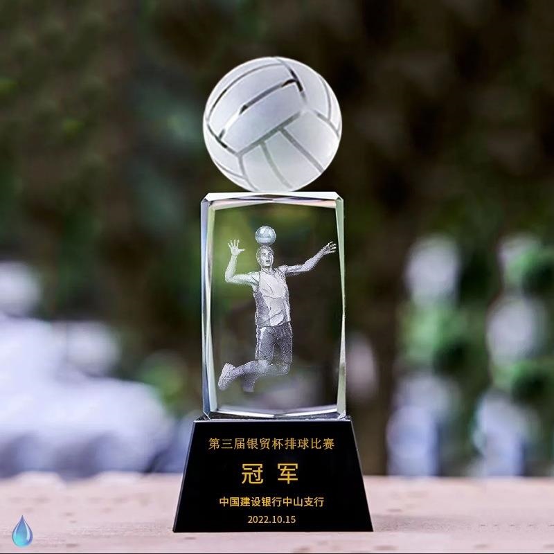 Volleyball Trophy