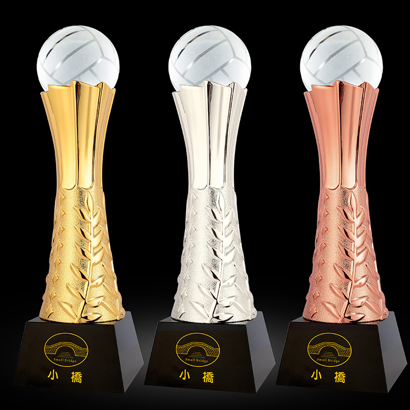 Volleyball Trophy