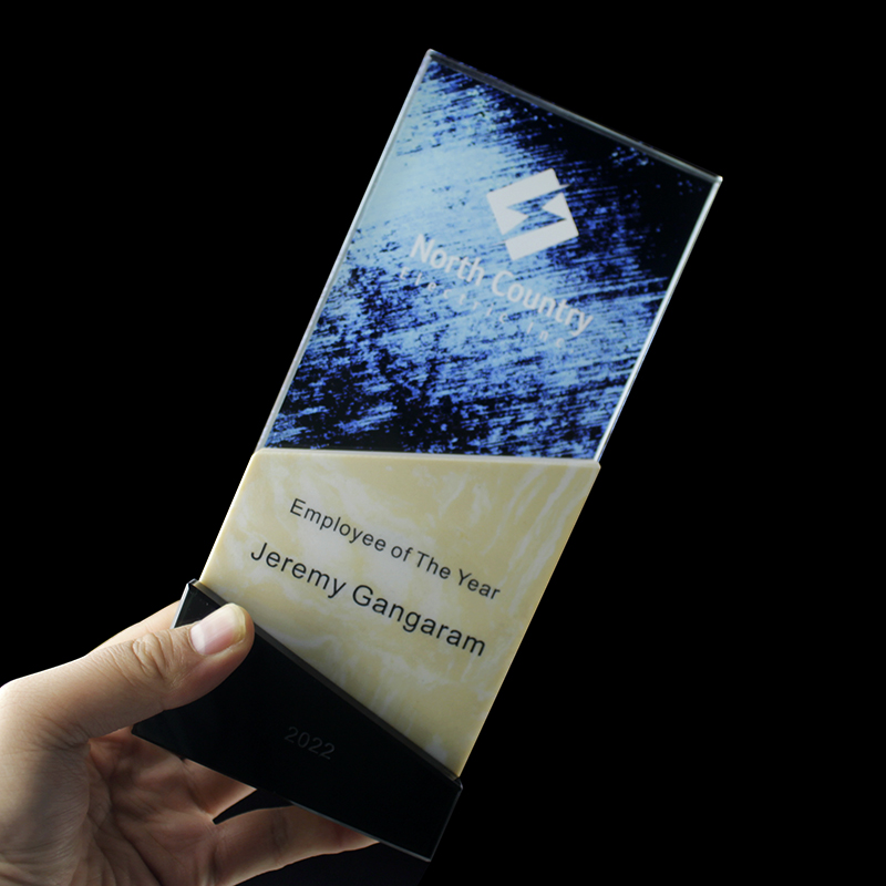 Outstanding Partner Trophy