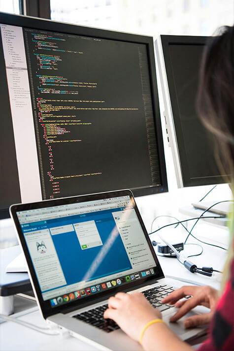 Website support and maintenance services