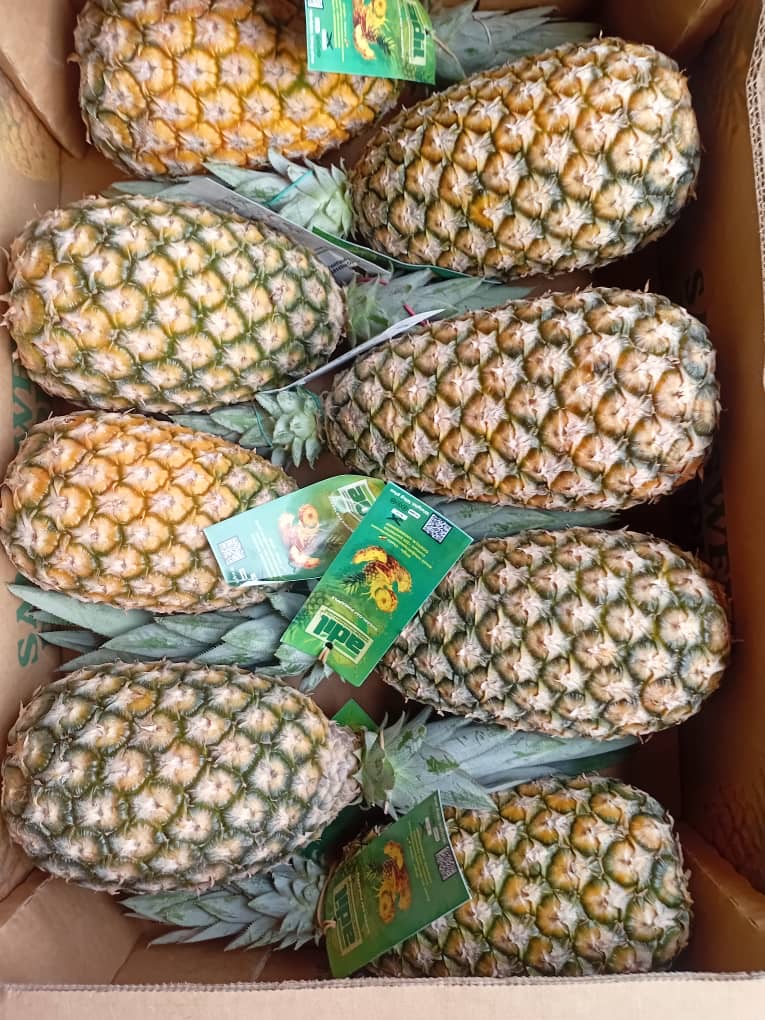 Pineapples