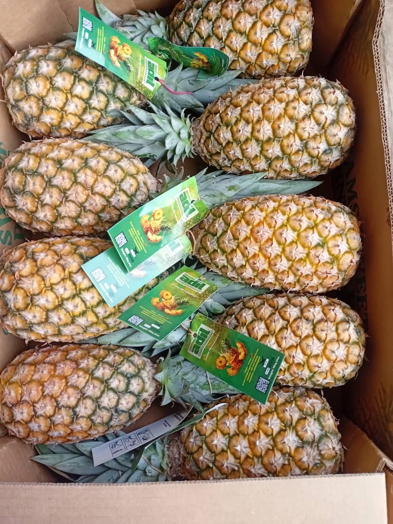 Pineapples