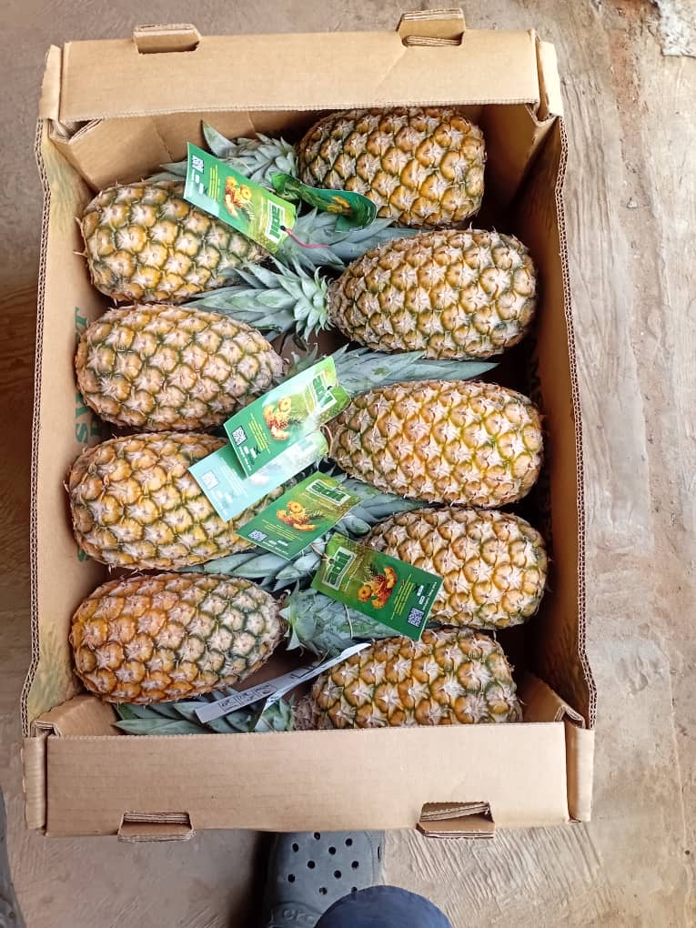 Pineapples