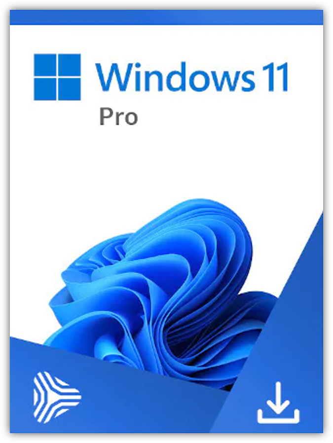 Windows 11 Pro OEM ESD license for 1 PC