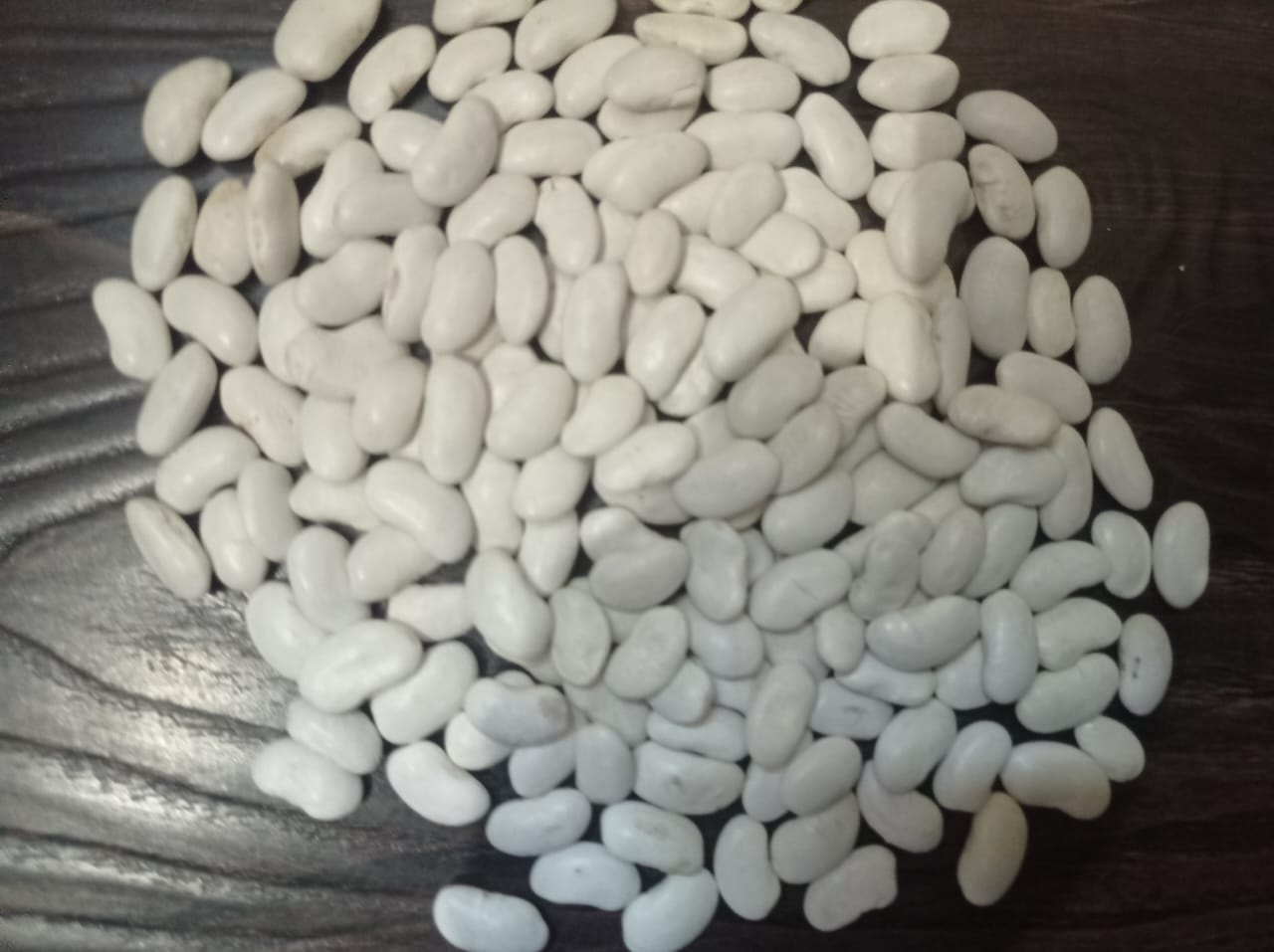 White beans (Espada) 8-9mm