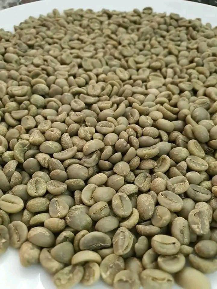 Yergachefe Green Coffee Beans