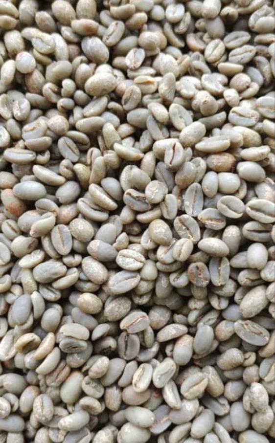 Yergachefe Green Coffee Beans