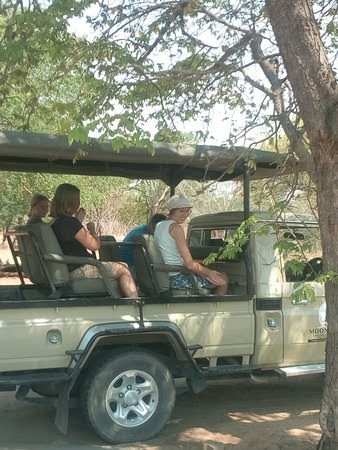 Game Drive and Short Rhino Walk