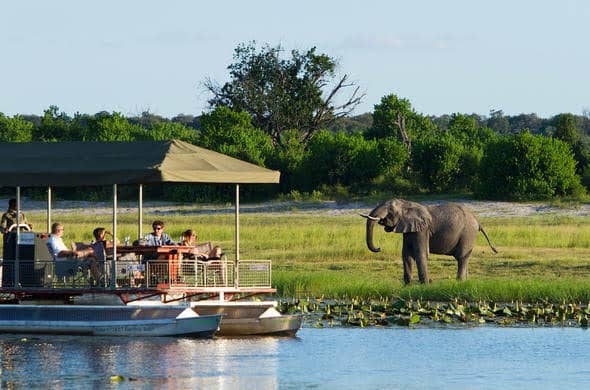 Chobe Day Trip