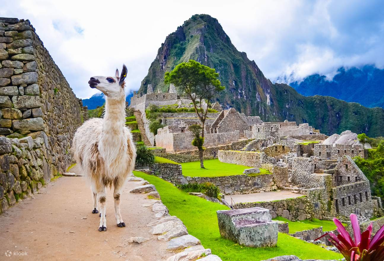 Sacred Valley and Machu Picchu Tour