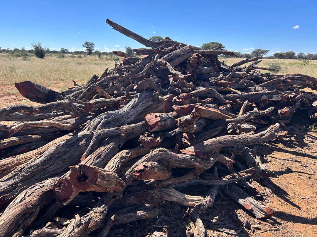 Firewood