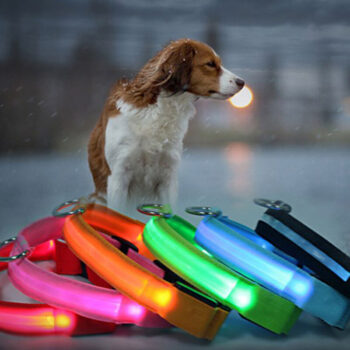 LED Dog Collar USB Rechargeable Luminous Glow in Dark Safety Pet Collar Breathable Nylon Reflective Pet Collars for dog and cat