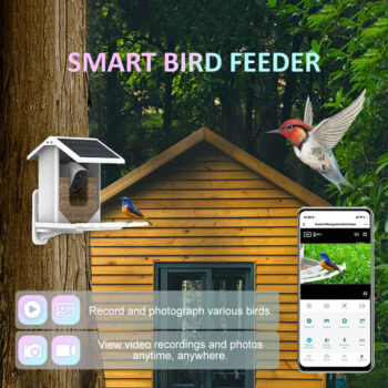 WiFi Bird Feeder Video Camera With Solar Panel Battery Surveillance IP Camera AI Smart Identify Bird Specifies