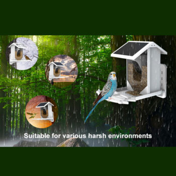 WiFi Bird Feeder Video Camera With Solar Panel Battery Surveillance IP Camera AI Smart Identify Bird Specifies
