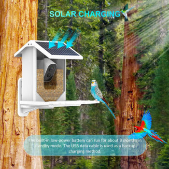 WiFi Bird Feeder Video Camera With Solar Panel Battery Surveillance IP Camera AI Smart Identify Bird Specifies