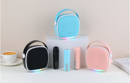 China factory new arrival KTV audio speaker mini karaoke speaker with microphone