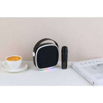 China factory new arrival KTV audio speaker mini karaoke speaker with microphone