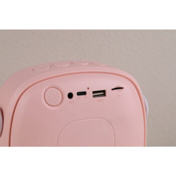 China factory new arrival KTV audio speaker mini karaoke speaker with microphone