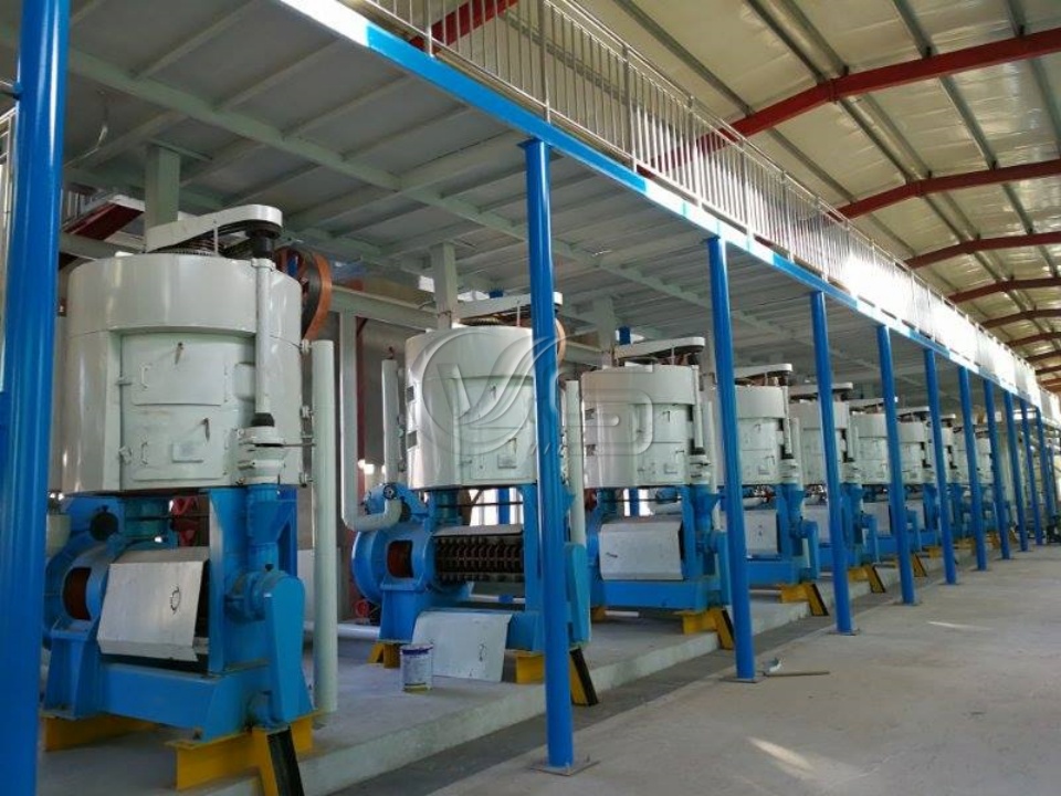 Corn Germ Oil Extraction Plant – Integrated Solvent Extraction & Refining Solutions