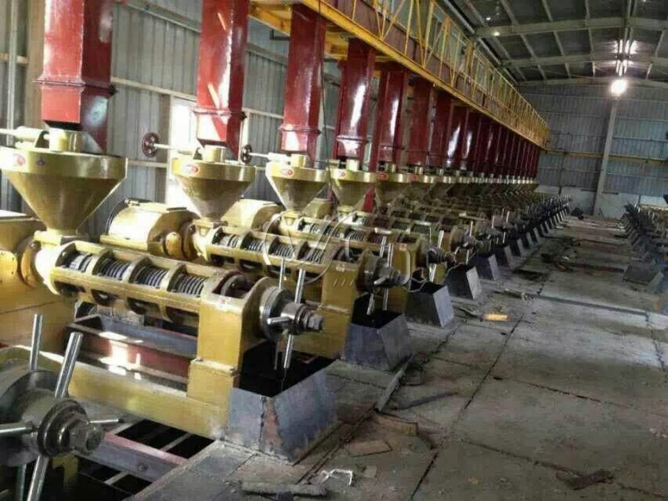 Groundnut Oil Production Line – Complete Peanut Oil Extraction and Refining Solution