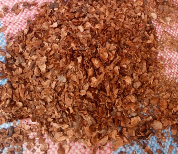Cocoa shell