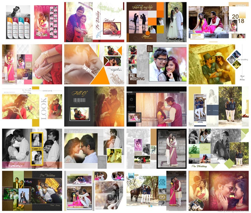 Picasso DgPhoto Album Design Software