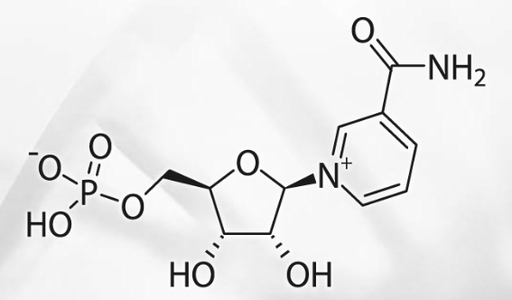 β- (NMN)